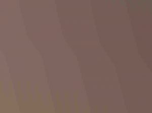 what-01-min